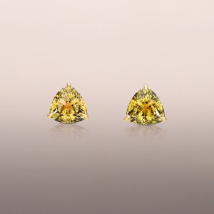 Bi-tourmaline earring studs